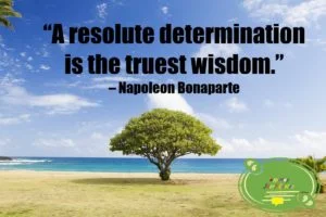 Determination Quote