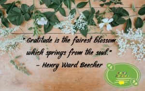 Gratitude Quote