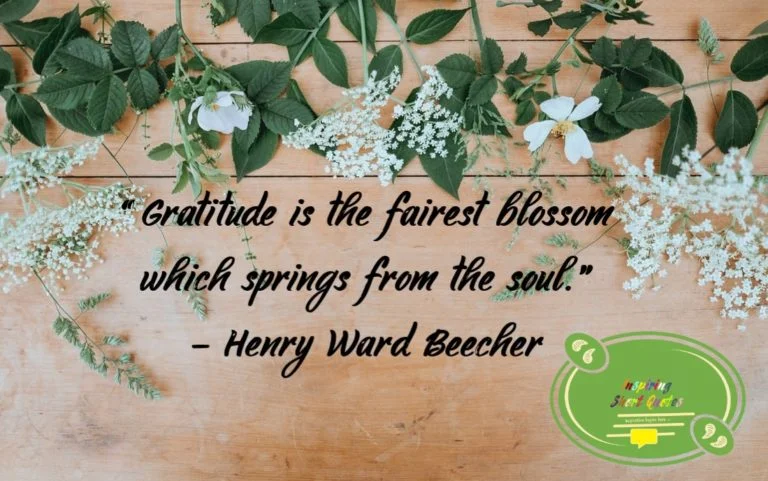Gratitude Quote