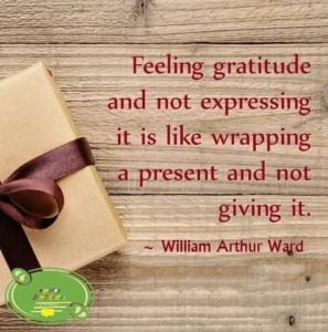 Gratitude Quotes