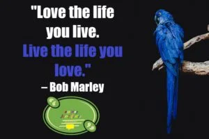 Life image quote