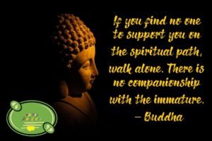 buddha quote
