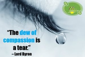 compassion quotes