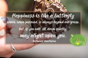 happiness quotes