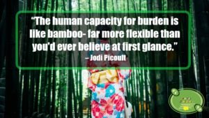 resilience image quotes