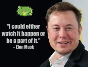 Elon Musk Quotes