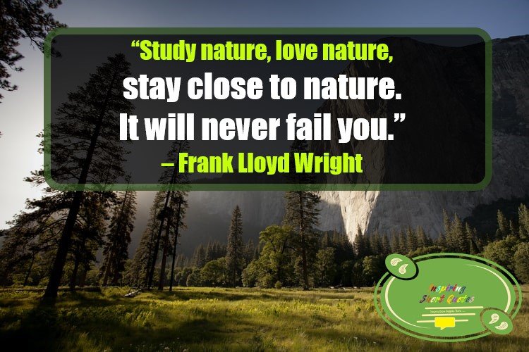 Nature Quotes and Sayings