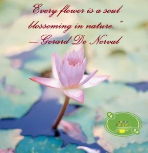 Nature Quotes