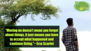 Move On Quotes