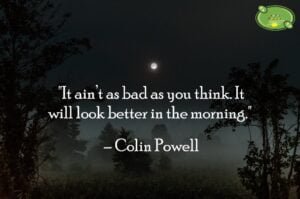 Colin Powell Quotes
