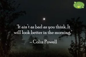 Colin Powell Quotes
