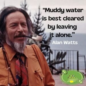 Alan Watts Quote
