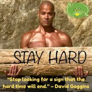 Quotes by David Goggins
