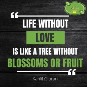 Khalil Gibran Quotes