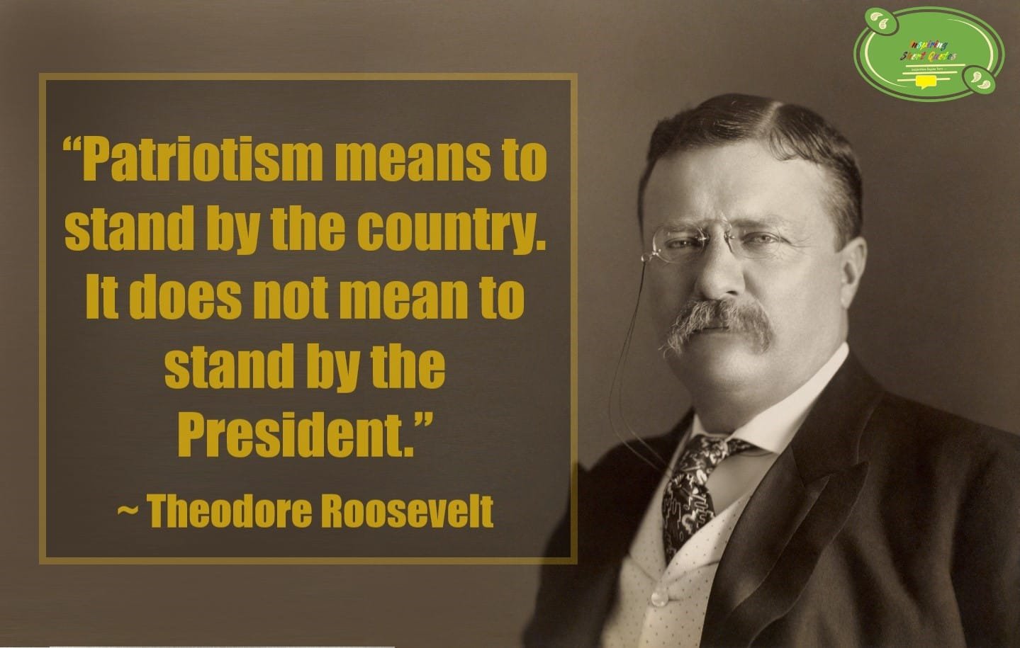 Theodore Roosevelt Quotes