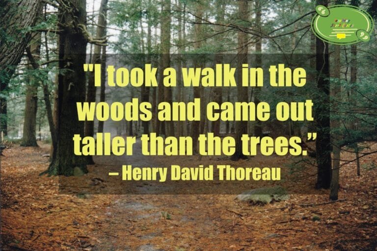 60 Henry David Thoreau Quotes - Inspiring Short Quotes