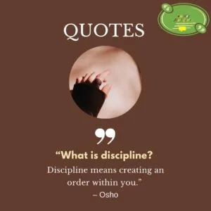 Best Discipline Quotes