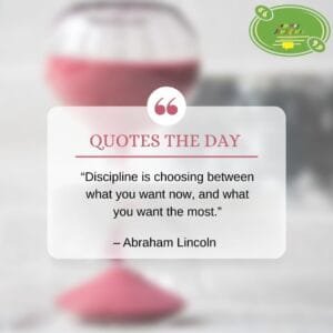 Discipline Quotes