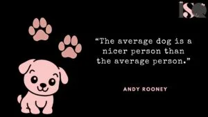 Funny Quote