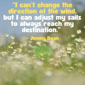 Quotes on Rejection