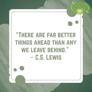 Rejection Quote